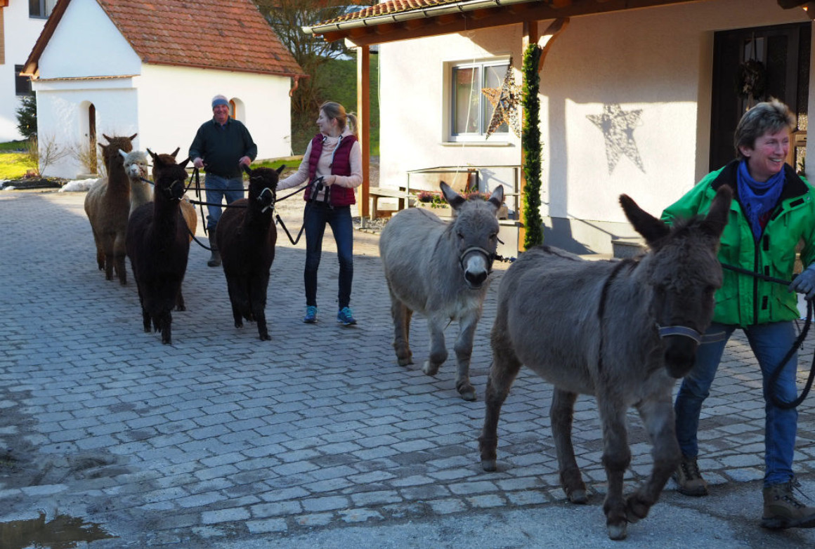 Ferienhof Sturm im Rotachtal