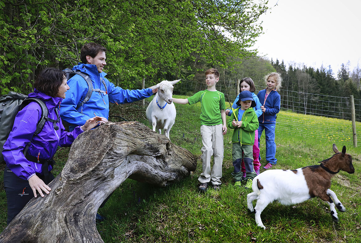 Ferienhof Sturm im Rotachtal