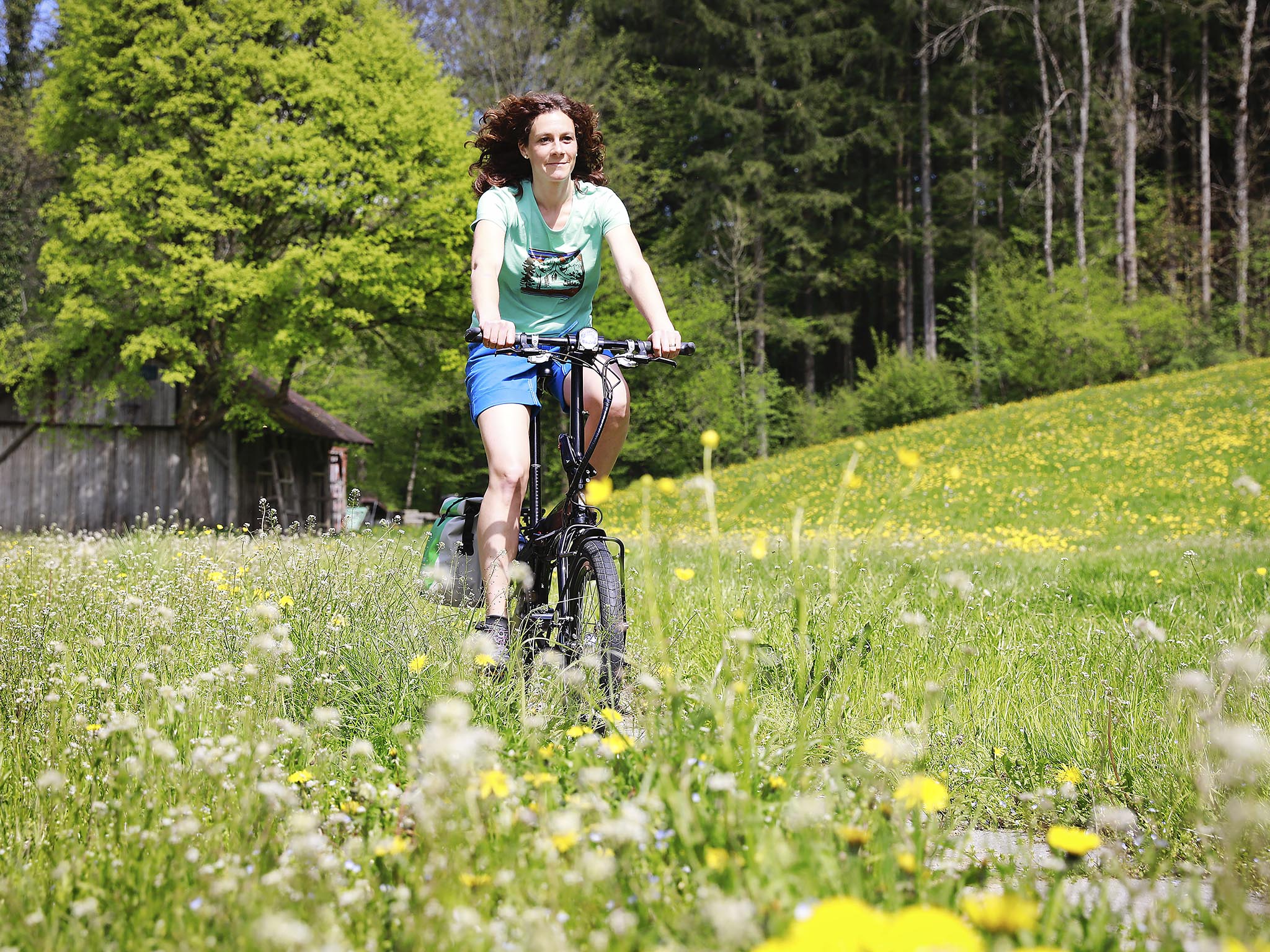 Bike Tour